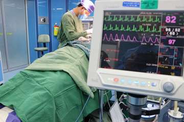 semums-en.amirhos.operating room 